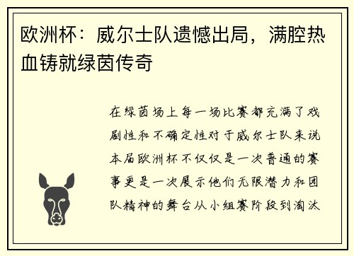 欧洲杯：威尔士队遗憾出局，满腔热血铸就绿茵传奇
