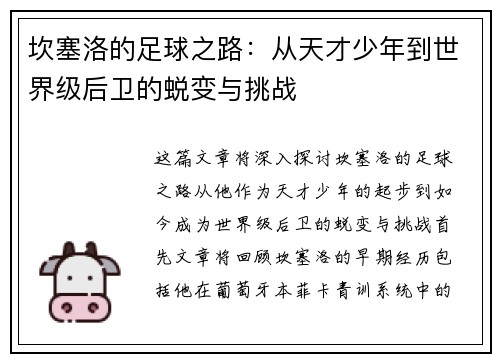坎塞洛的足球之路：从天才少年到世界级后卫的蜕变与挑战